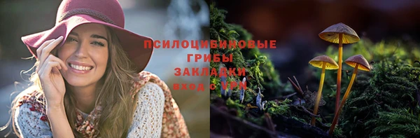 PSILOCYBIN Баксан