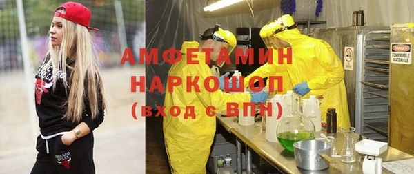 прущие грибы Балахна