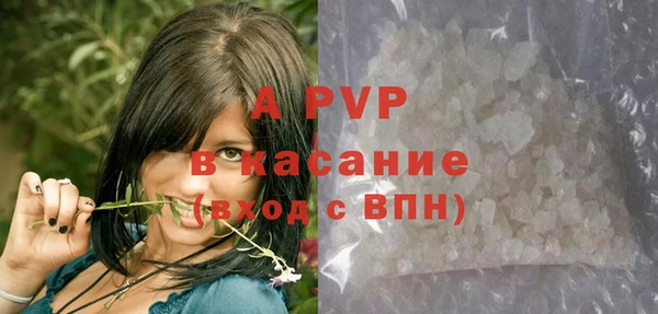 прущие грибы Балахна