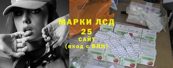 прущие грибы Балахна