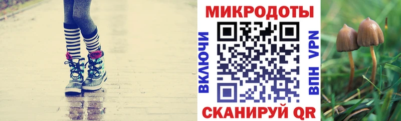 Псилоцибиновые грибы прущие грибы  Волчанск 